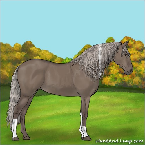 Horse Color:Silver Grullo Tobiano