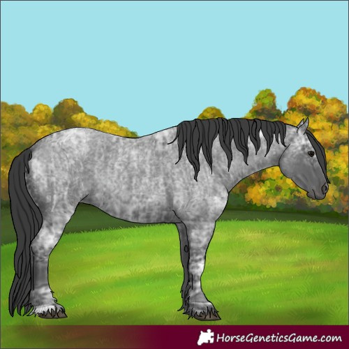 Horse Color:Blue Ice Roan and Blue Ice Roan