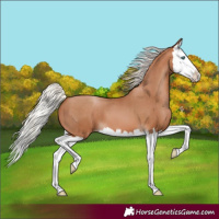 Horse Color:Silver Brown Pearl Splash 