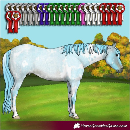 Horse Color:Watercolor White Spotted Bay Roan Rabicano 