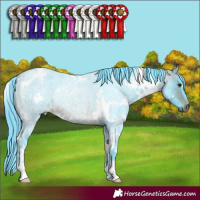 Horse Color:Watercolor White Spotted Bay Roan Rabicano 