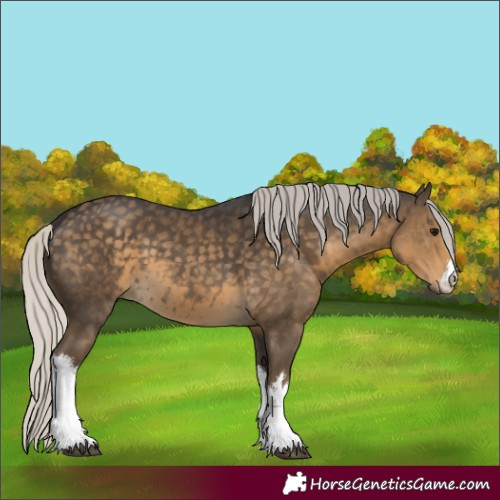 Horse Color:White Spotted Silver Smoky Black