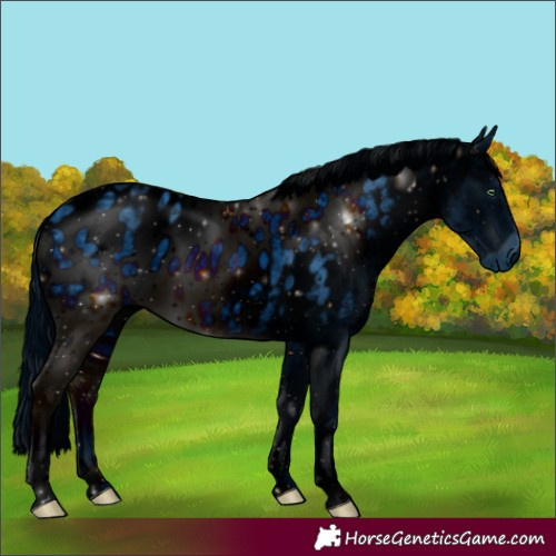 Horse Color:ERROR: UNKNOWN ANOMALY