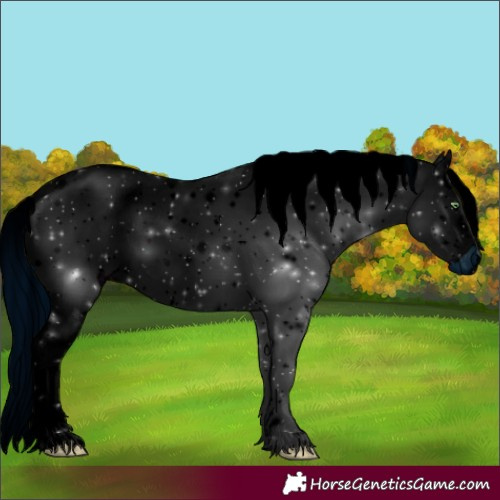 Horse Color:ERROR: UNKNOWN ANOMALY
