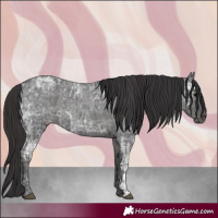 Horse Color:Blue Ice Roan and Smoky Blue Ice Roan