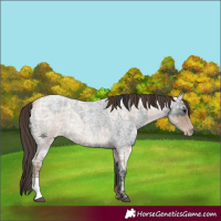 Horse Color:Blue Ice Roan  and Classic Champagne Ice Roan 