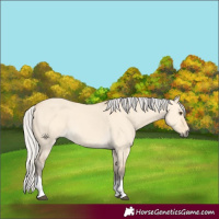 Horse Color:Silver Buckskin Dun Tobiano 