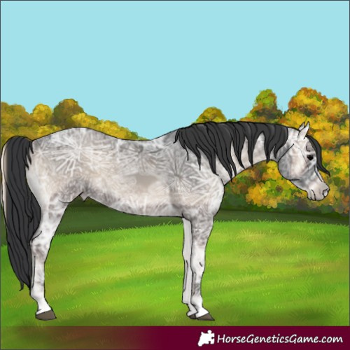 Horse Color:Blue Onyx Ice 