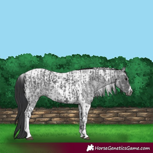 Horse Color:Black Ice Tobiano  and Blue Ice Roan Tobiano 