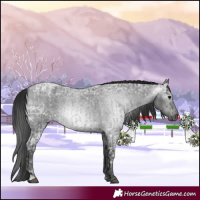 Horse Color:Blue Ice Roan  and Gray Blue Ice Roan 