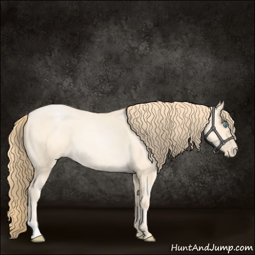 Horse Color:Buckskin Roan Pearl  and Buckskin Roan Pearl 