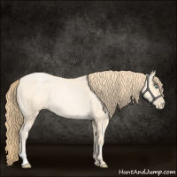 Horse Color:Buckskin Roan Pearl and Buckskin Roan Pearl
