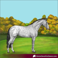 Horse Color:Blue Ice Roan  and Blue Ice Roan Blanket 