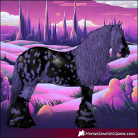 Horse Color:Void Watercolor Black Splash Tobiano Appaloosa 