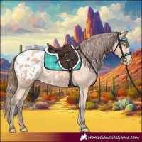 Horse Color:Amber Champagne Appaloosa 