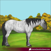 Horse Color:Blue Ice Roan  and Blue Ice Roan 