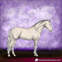 Horse Color:Cremello 