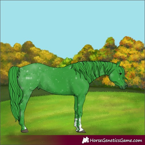 Horse Color:Watercolor Black Sabino 