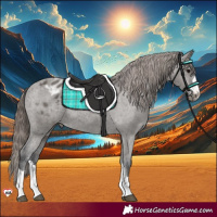 Horse Color:Grullo Varnish 