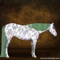 Horse Color:Watercolor Amber Champagne Sabino Tobiano Appaloosa  and Watercolor Amber Champagne Sabino Tobiano Appaloosa 