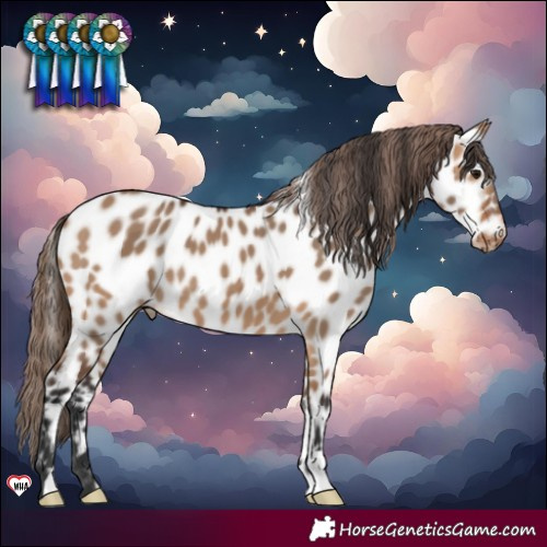 Horse Color:Bay Dun Near Leopard 