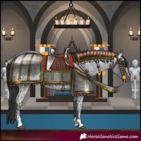 Horse Color:Blue Ice Roan  and Blue Ice Roan 