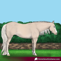 Horse Color:Cremello 