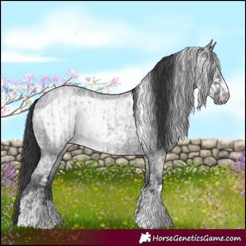 Horse Color:Blue Ice Roan  and Blue Ice Roan Frame 