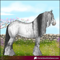 Horse Color:Blue Ice Roan  and Blue Ice Roan Frame 