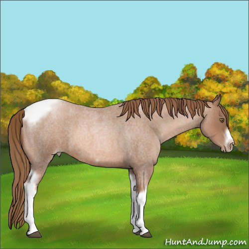 Horse Color:Liver Red Roan Pearl Tobiano Frame 