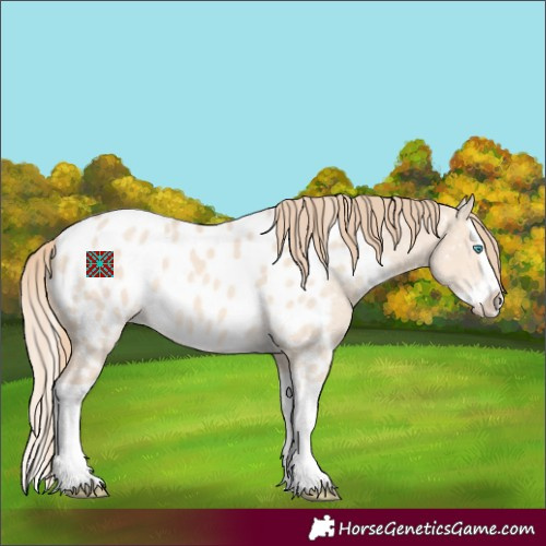 Horse Color:Perlino Dun Splash Appaloosa 