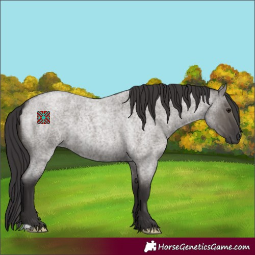 Horse Color:Smoky Grullo Roan