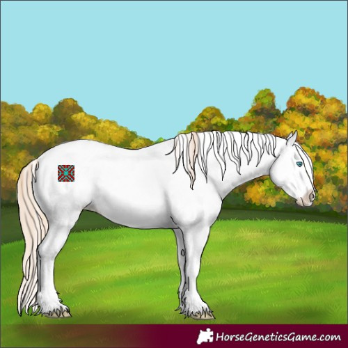Horse Color:White Spotted Perlino Dun Splash Appaloosa 