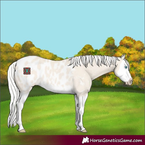 Horse Color:Silver Smoky Creme Dun Splash Appaloosa 