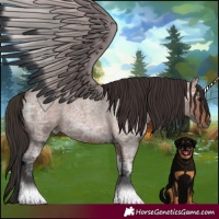 Horse Color:Bay Ice Roan Tobiano 