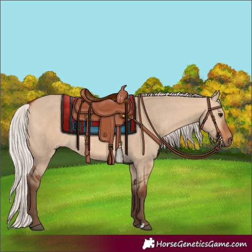 Horse Color:Silver Bay Dun 
