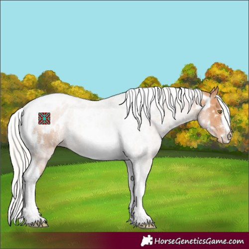 Horse Color:Silver Brown Pearl Tobiano Appaloosa 