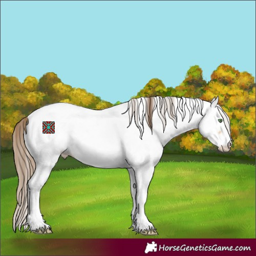 Horse Color:Sable Cream Champagne Appaloosa 