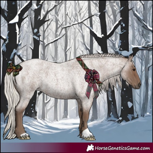 Horse Color:Silver Blue Roan 
