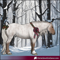 Horse Color:Silver Blue Roan