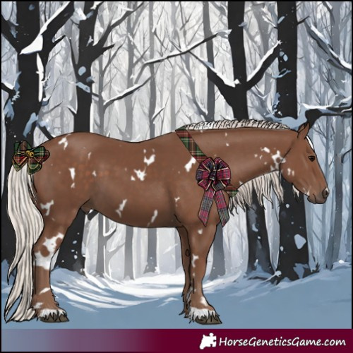 Horse Color:White Spotted Silver Black