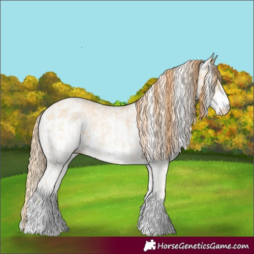 Horse Color:Perlino Sabino  and Buckskin Pearl Sabino 