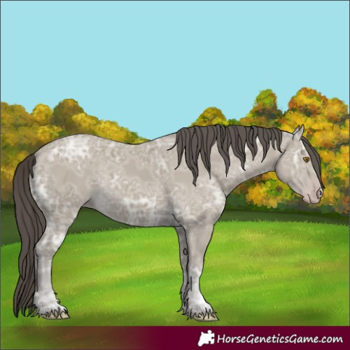Horse Color:Classic Cream Champagne Ice