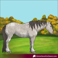 Horse Color:Classic Cream Champagne Ice 