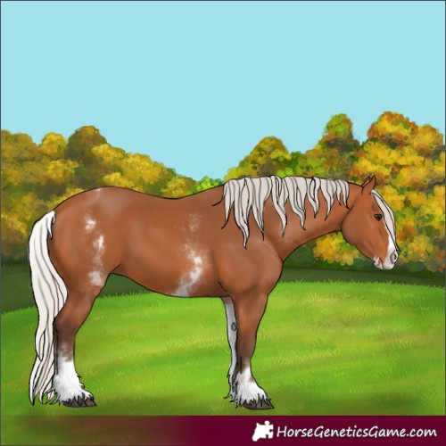 Horse Color:White Spotted Silver Bay Splash 
