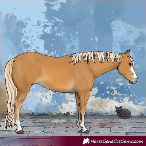 Horse Color:Palomino