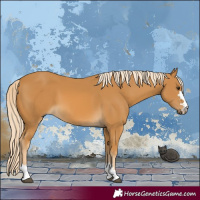 Horse Color:Palomino 
