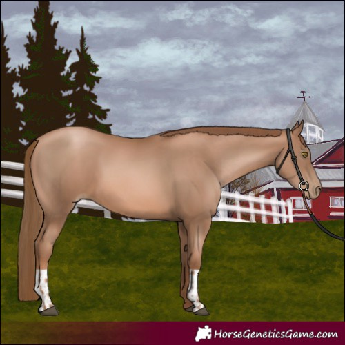 Horse Color:Liver Chestnut Pearl  and Liver Chestnut Pearl 