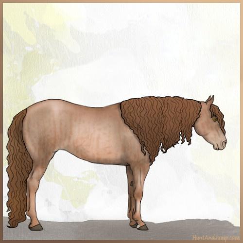 Horse Color:Liver Chestnut Pearl  and Liver Chestnut Pearl 