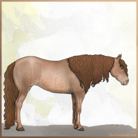 Horse Color:Liver Chestnut Pearl and Liver Chestnut Pearl
